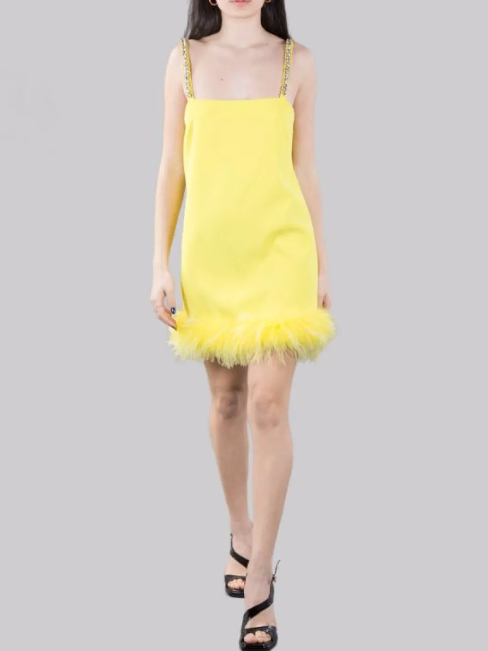 MINI ABITO TREBBIANO CON STRASS E PIUME | PINKO Fashion