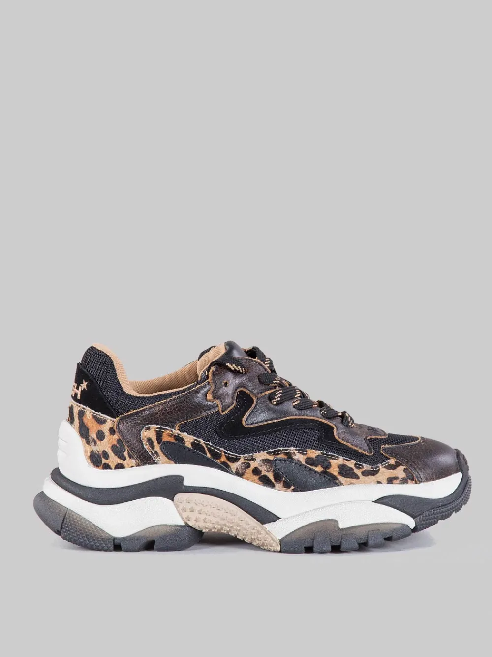 Sneaker addict | ASH Outlet